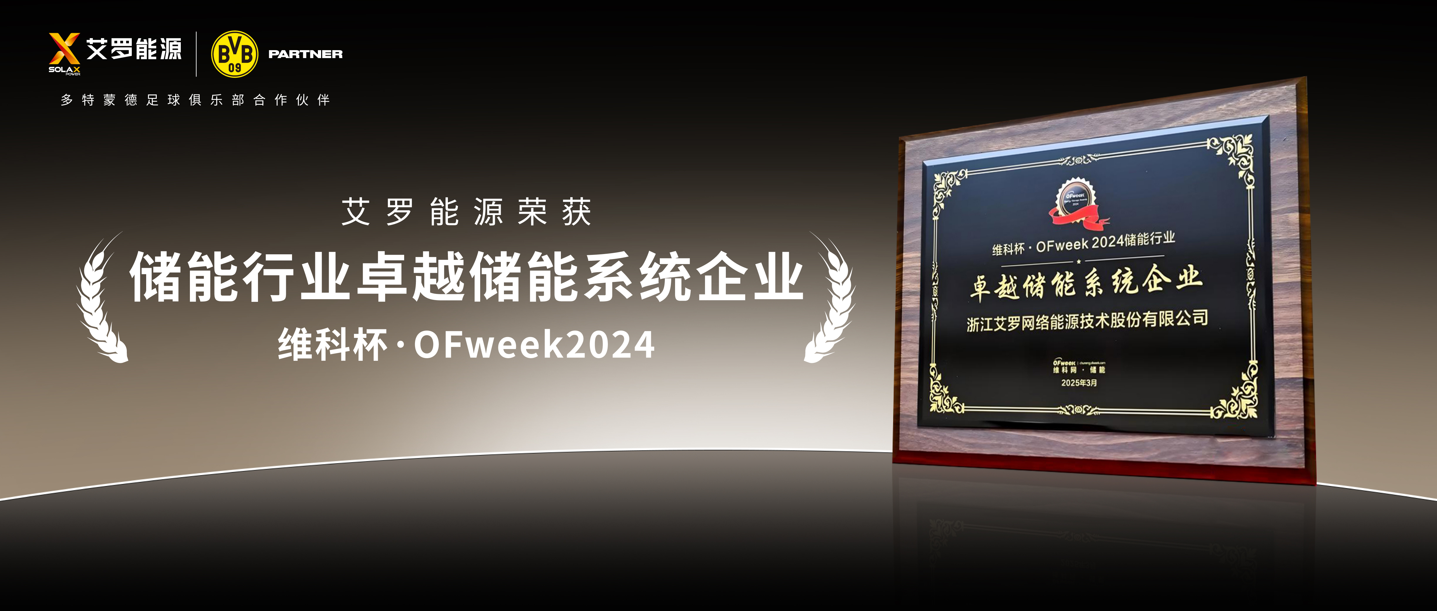 实力见证！威廉希尔能源荣膺“2024维科杯·卓越储能系统企业”殊荣！
